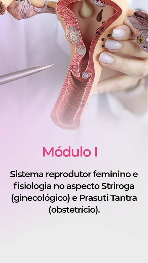 modulo01-texto-striroga.webp