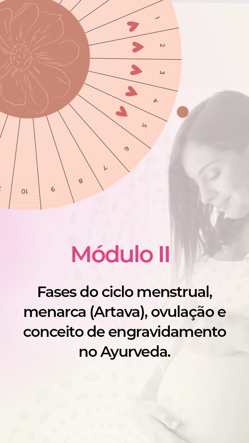 modulo02-texto-striroga-v2.webp