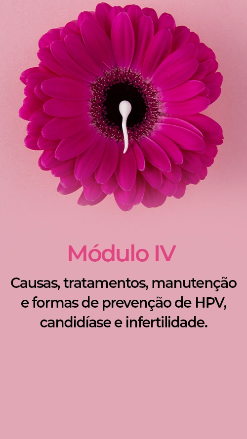 modulo04-texto-striroga.webp