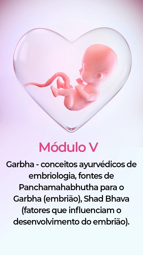 modulo05-texto-striroga.webp