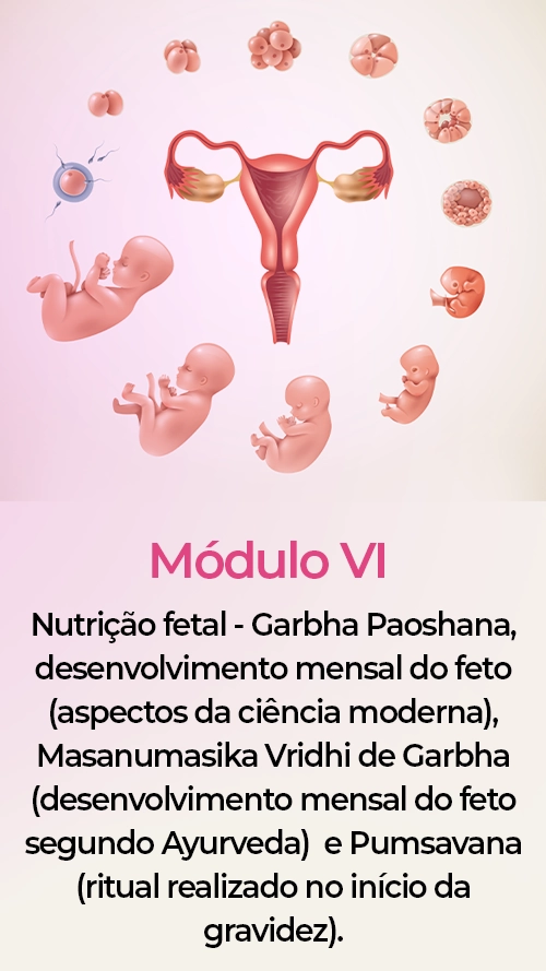 modulo06-texto-striroga.webp