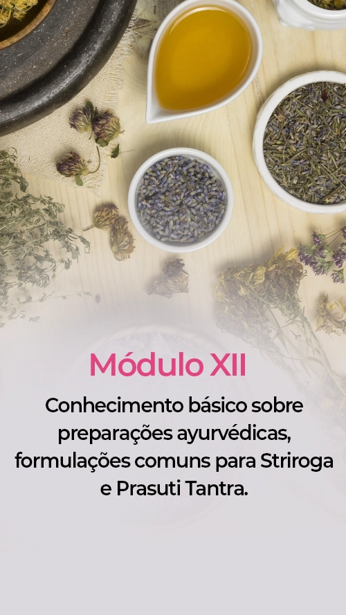 modulo12-texto-striroga.webp